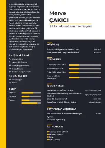 Laboratuvar Teknisyeni Cv Örnekleri cv indir